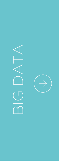 Big Data Big Data