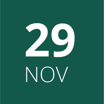 29 de noviembre 29 de noviembre