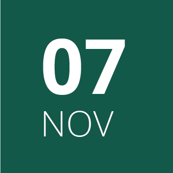 7 de noviembre 7 de noviembre
