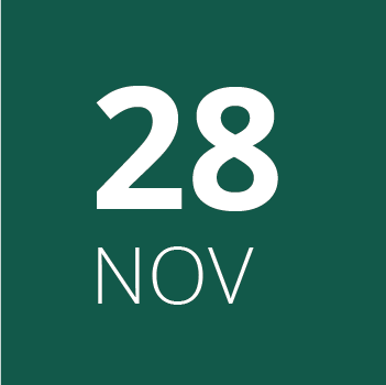 28 de noviembre 28 de noviembre